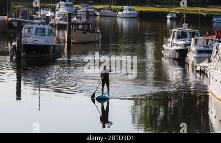 Bournemouth, Großbritannien. Mai 2020. Nick Gill nimmt sein Paddle Board zum ersten Mal am Frühlingsfeiertag auf dem River Stour in Christchurch, Dorset, mit. Kredit: Richard Crease / Alamy Live News Stockfoto