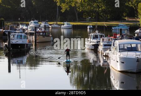 Bournemouth, Großbritannien. Mai 2020. Nick Gill nimmt sein Paddle Board zum ersten Mal am Frühlingsfeiertag auf dem River Stour in Christchurch, Dorset, mit. Kredit: Richard Crease / Alamy Live News Stockfoto