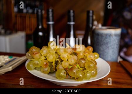 Reife Weintrauben auf dem Teller und Flaschen Wein während der Weinprobe in der australischen Weinkellerei Stockfoto