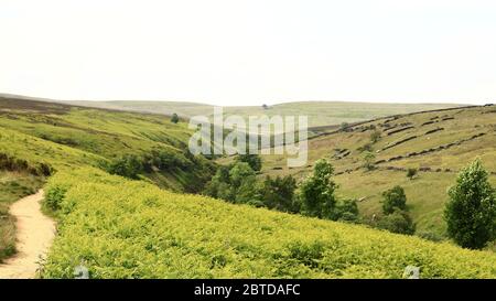 Der Bronte Trail, der Blick entlang des Bronte Trail in Richtung Bronte Wasserfall bei Haworth, West Yorkshire in Nordengland. Stockfoto