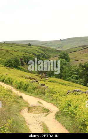 Der Bronte Trail. Der Blick auf den Bronte Trail in Richtung Bronte Wasserfall bei Haworth, West Yorkshire in Nordengland. Stockfoto