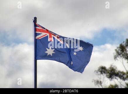 Australische Nationalflagge, die gegen einen wolkigen blauen Himmel mit einem Gummibaum fliegt Stockfoto