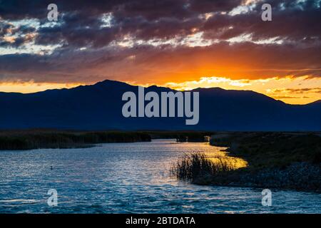 Das Nachglühen der untergehenden Sonne erleuchtet die Wolken und reflektiert auf dem Wasser am Bear River Zugvogelschutzgebiet in der Nähe von Brigham City, Utah. Stockfoto