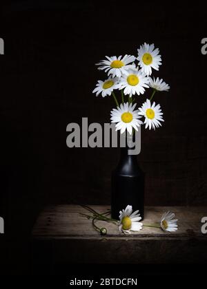 Wilde Gänseblümchen Stillleben in schwarzer Vase, rustikaler Stil mit hessischen. Mit Copyspace. Leucanthemum vulgare aka Ochsenauge, Ochsenauge oder Hundsdaisy. Stockfoto