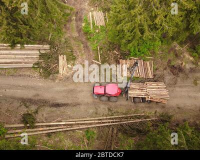 Ein roter Traktor lädt Baumstämme im Nadelwald. Dron View von oben nach unten. Stockfoto