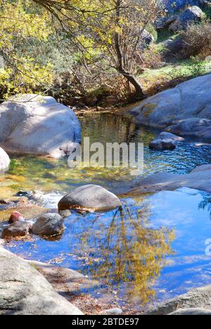 Reflexionen über den Fluss Manzanares. Regionalpark Cuenca Alta del Manzanares, Provinz Madrid, Spanien. Stockfoto