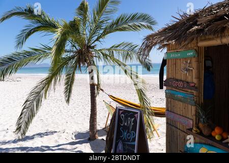 Herrlicher Blick auf einen Strand mit einer Palme und einem Surf-Shop Stockfoto