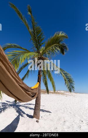 Herrlicher Blick auf einen Strand mit einer Palme und einer Hängematte, die daran gebunden ist Stockfoto