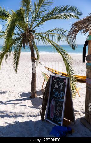 Herrlicher Blick auf einen Strand mit einer Palme und einem Surf-Shop Stockfoto