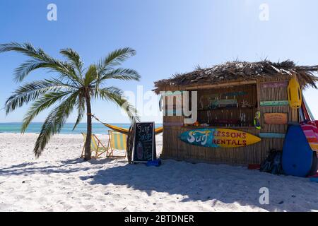 Herrlicher Blick auf einen Strand mit einer Palme und einem Surf-Shop Stockfoto