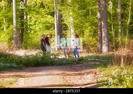 Vier junge Menschen stehen auf einem Waldweg, Deutschland, Nordrhein-Westfalen, Hagen-Hohenlimburg Stockfoto