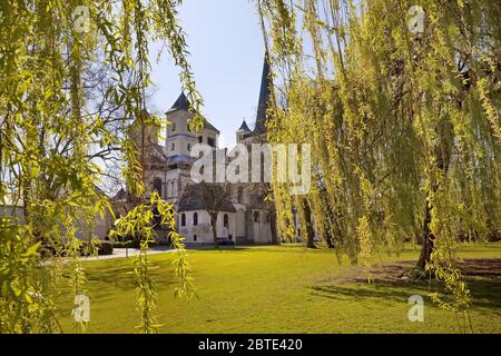 park des Klosters Brauweiler mit Kirche St. Nikolaus, Deutschland, Nordrhein-Westfalen, Niederrhein, Pulheim Stockfoto