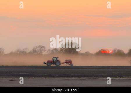 Landwirt, der die Felder mit massiven Staubwolken in extremer Trockenheit bewirtschaftet, Deutschland, Bayern, Erdinger Moos Stockfoto