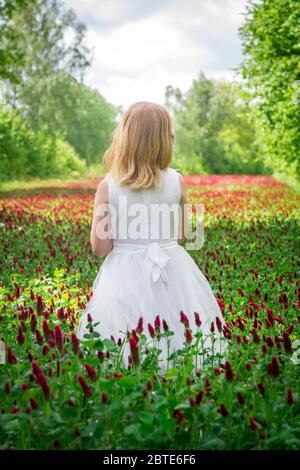 Schönes Mädchen mit weißem Kleid in einem Kleeblatt Feld Stockfoto