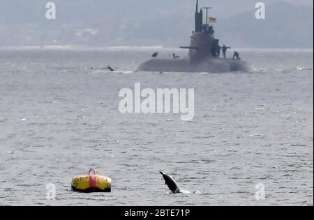 Deutschland. Mai 2020. 25. Mai 2020, Schleswig-Holstein, Eckernförde: Ein Schweinswal springt aus der Ostsee, während das deutsche U-Boot 'U33' in seinen Heimathafen aufbrechen wird. Das U-Boot hat seit Februar mehrere Erkundungsfahrten an der Außengrenze der NATO unternommen und war in den letzten Wochen unter der Kontrolle des Seekommandos der Allianz (Allied Maritime Command, MARCOM) und sollte die Aktivitäten der russischen Flotte beobachten. Foto: Carsten Rehder/dpa Quelle: dpa picture Alliance/Alamy Live News Stockfoto