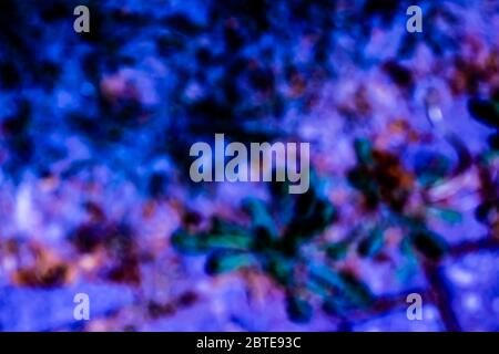 Blaue und lila unscharfe Hintergrundstruktur Stockfoto