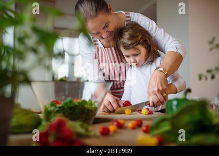 Kleines Mädchen mit älterer Großmutter in der Küche zuhause, Tomaten schneiden. Stockfoto