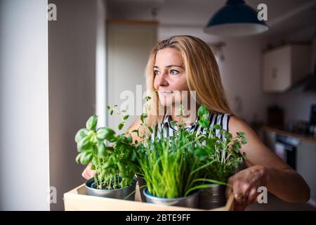 Porträt der Frau im Haus, Tragebox mit Kräutern. Stockfoto