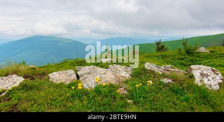 Riesige Steine im Tal auf dem Bergrücken. Bergsommerlandschaft. Wiese mit riesigen Steinen unter dem Gras auf dem Hügel in der Nähe der Erbse Stockfoto