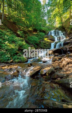 Wasserfall in den Fores. Schnelles Wasser des Gebirgsflusses. Schöne Natur Hintergrund. Beruhigende Sommerlandschaft Stockfoto