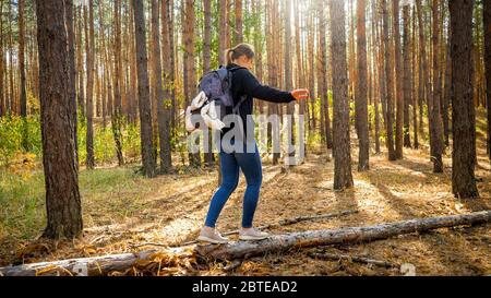 Junge Wanderin, die auf dem gefallenen Baumstamm im Wald läuft und balanciert Stockfoto