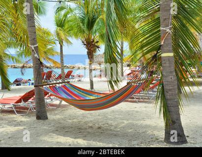 Hängematte zwischen Palmen am Strand von Curacao Stockfoto