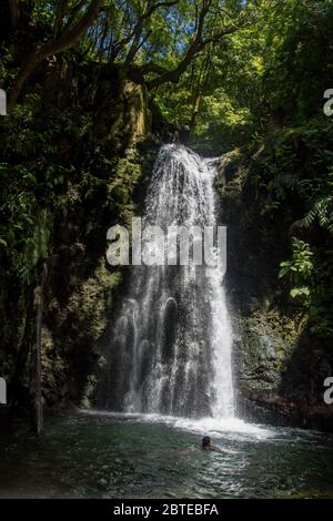 Spazieren Sie und entdecken Sie den Wasserfall prego salto auf der Insel sao miguel, azoren, Portugal. Stockfoto