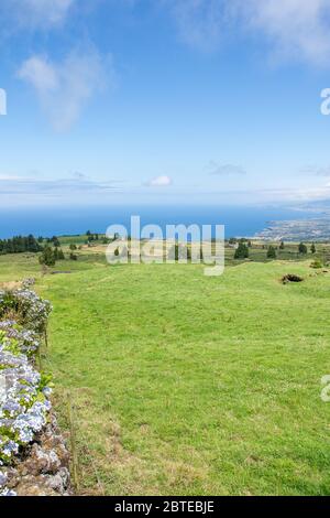 Wandern Sie auf dem Archipel der Azoren. Entdeckung der Insel Sao Miguel, Azoren. Portugal Stockfoto