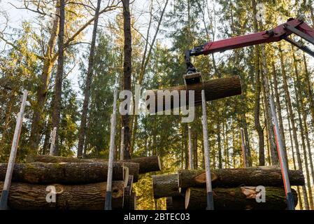 Kran im Wald Verladescheite im LKW. Holzernte und Transport im Wald. Stockfoto