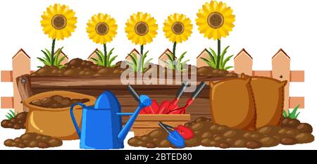 Sonnenblumen im Blumenbeet auf weißem Hintergrund Illustration Stock Vektor