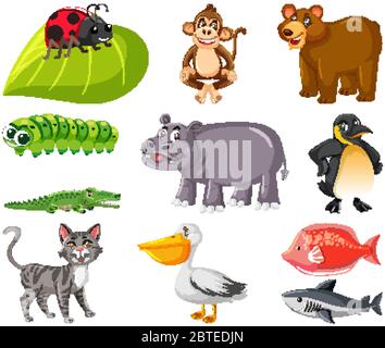 Großer Satz verschiedener Tierarten auf weißer Hintergrundabbildung Stock Vektor