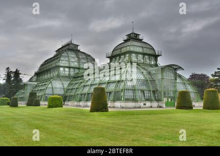 Glashaus im Shonbrunn Park, Wien Stockfoto