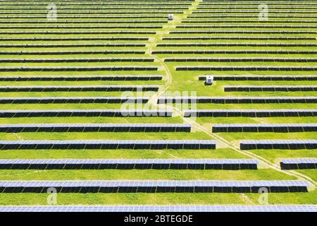 Solarmodul von oben. Luftstrom-Foto mit Blick auf Reihen blauer Sonnenkollektoren in einem landwirtschaftlichen Betrieb für erneuerbare Energien Stockfoto