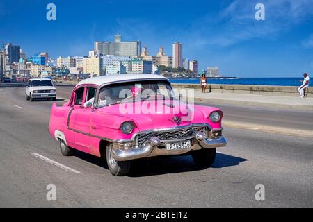 Klassisches amerikanisches pinkes Auto, das auf dem Malecon, Havanna, Kuba fährt Stockfoto