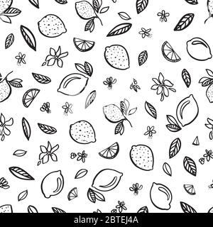 Vektor Doodle Zitrone Zitrusmuster. Handgezeichnetes, modernes, sich wiederholendes Design im Sommer. Handgezeichnetes helles Zitrusfrucht-Muster mit Blatt und Blüte auf weißem Hintergrund. Klassische einfache Sommer-Kulisse. Stock Vektor