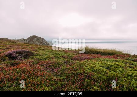 Cap Sizun in der bretagne frankreich Stockfoto