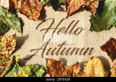 Hintergrund Rahmen von alten schmutzigen nassen Blättern. Herbstkonzept. Stockfoto
