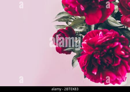 Schöne rote Pfingstrose Blumen Bouquet in Vase, kopieren Raum, Raum für Text. Stockfoto