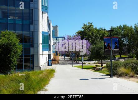 FULLERTON CALIFORNIA - 22. MAI 2020: Gelände des Campus der California State University Fullerton, CSUF. Stockfoto