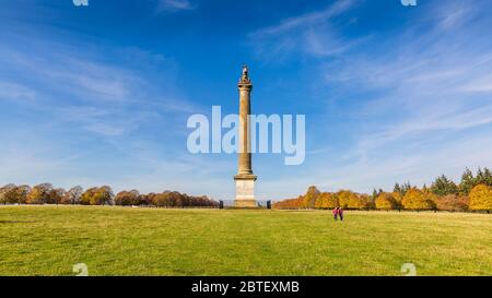 Die Siegessäule auf dem Gelände von Blenheim Palace, Oxfordshire, England Stockfoto