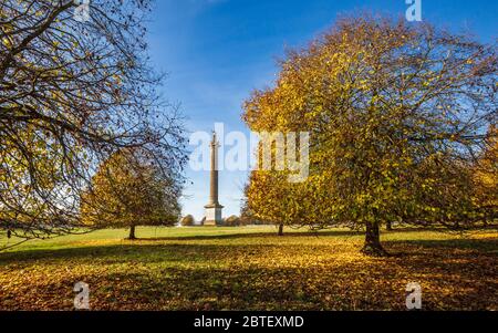 Die Siegessäule durch die Herbstbäume auf dem Gelände des Blenheim Palace, England Stockfoto