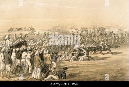 Nach dem marsch des Tages zur Erleichterung Lucknow organisierte die Marinebrigade Büffelrennen im Lager bei Onoa. Aus Erinnerungen einer Winterkampagne in Indien, 1857-58, veröffentlicht 1869.