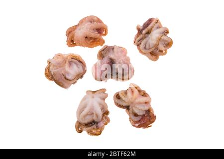 Kleine gefrorene Krake isoliert auf weißem Hintergrund Stockfoto