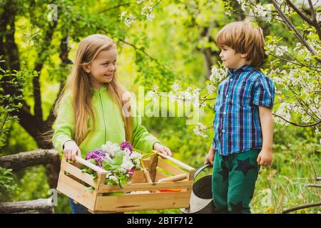 Umweltfreundliches Wohnen. Glückliche Kinder Bauern Spaß auf dem Frühlingsfeld. Kinder Bauer in der Farm mit ländlichen Hintergrund. Amerikanische Farmleben Stockfoto