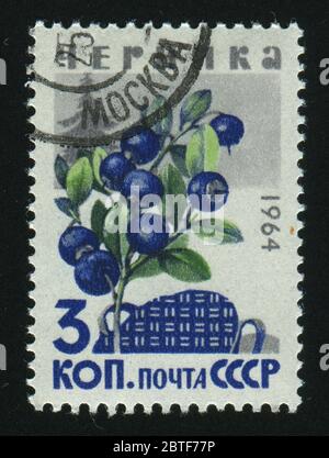 RUSSLAND - UM 1964: Briefmarke gedruckt von Russland, zeigt Brombeere, um 1964. Stockfoto