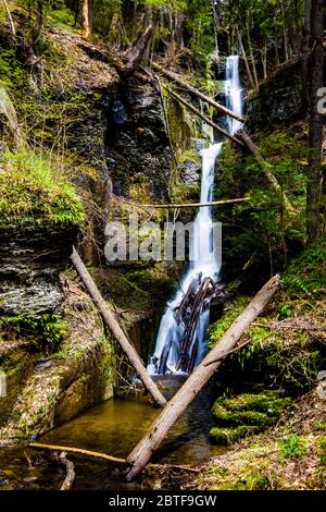 Malerische Silverthread-Wasserfälle der Dingmans Fähre im Frühling Stockfoto