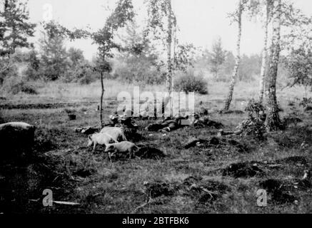 Infanterie-Positionen an der Desna Operation Barbarossa - Deutsche Invasion Russlands, 1941 - 15. Infanterierdivision der Thüringer-Kurhessen Division Stockfoto