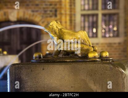 Frosch im Brunnen (Pomnik Raftsman flisaka) in Torun. Polen Stockfoto