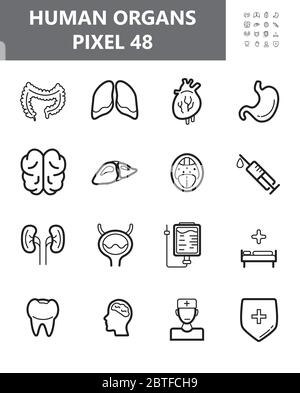 Vektor für Symbolsatz für menschliche Organe. Rachen, Spritze, Krankenhaus sind abgebildet. Nieren, Leber, Herz, Darm Umriss Symbol für Website in 48 Pixel. Blase, s Stock Vektor
