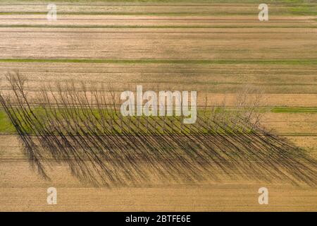 Luftaufnahme des Stymphalia Sees in Peloponnes, Griechenland Stockfoto